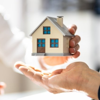 Final Touch & Handover